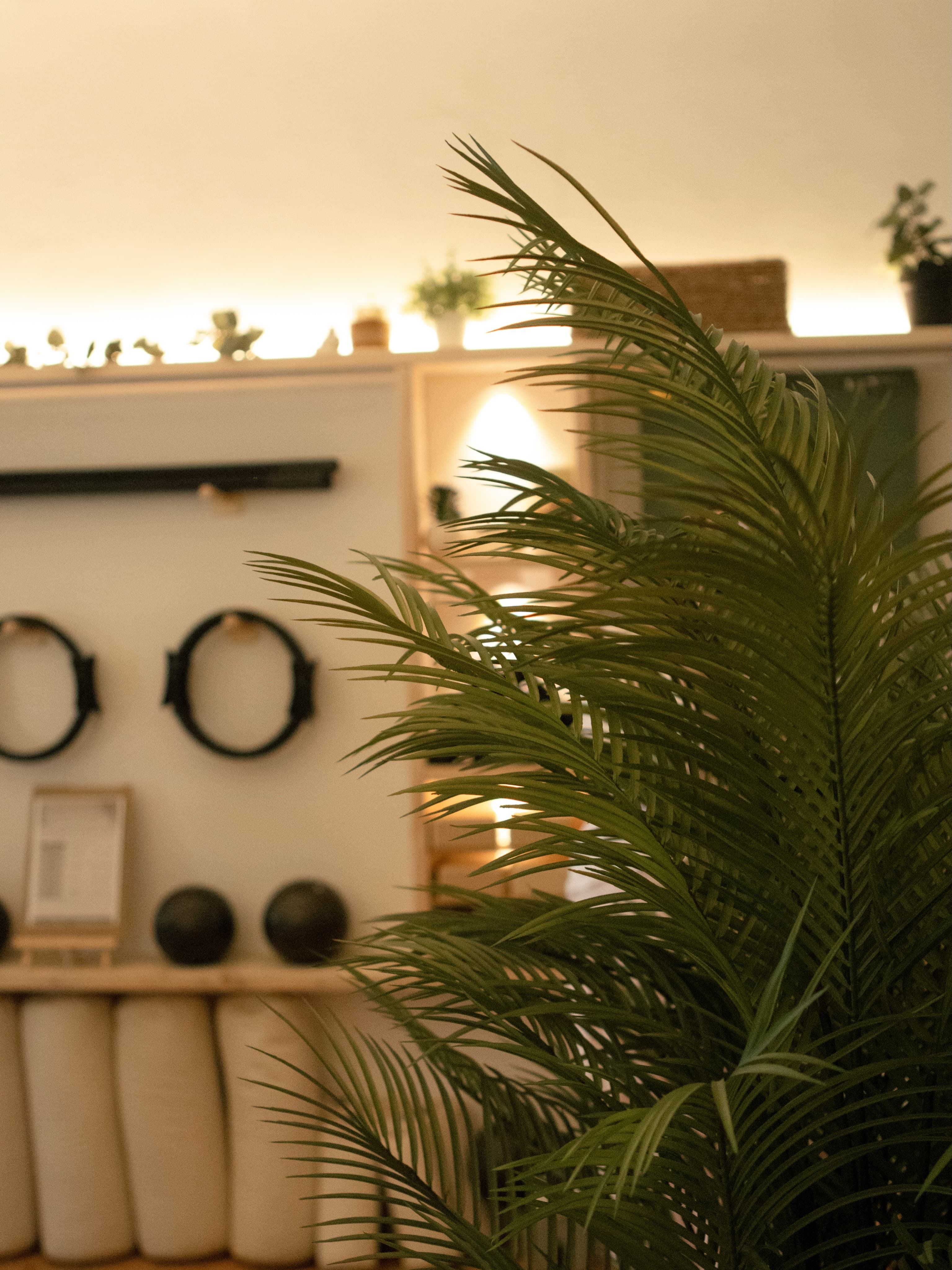 Inside the Align & Define studio